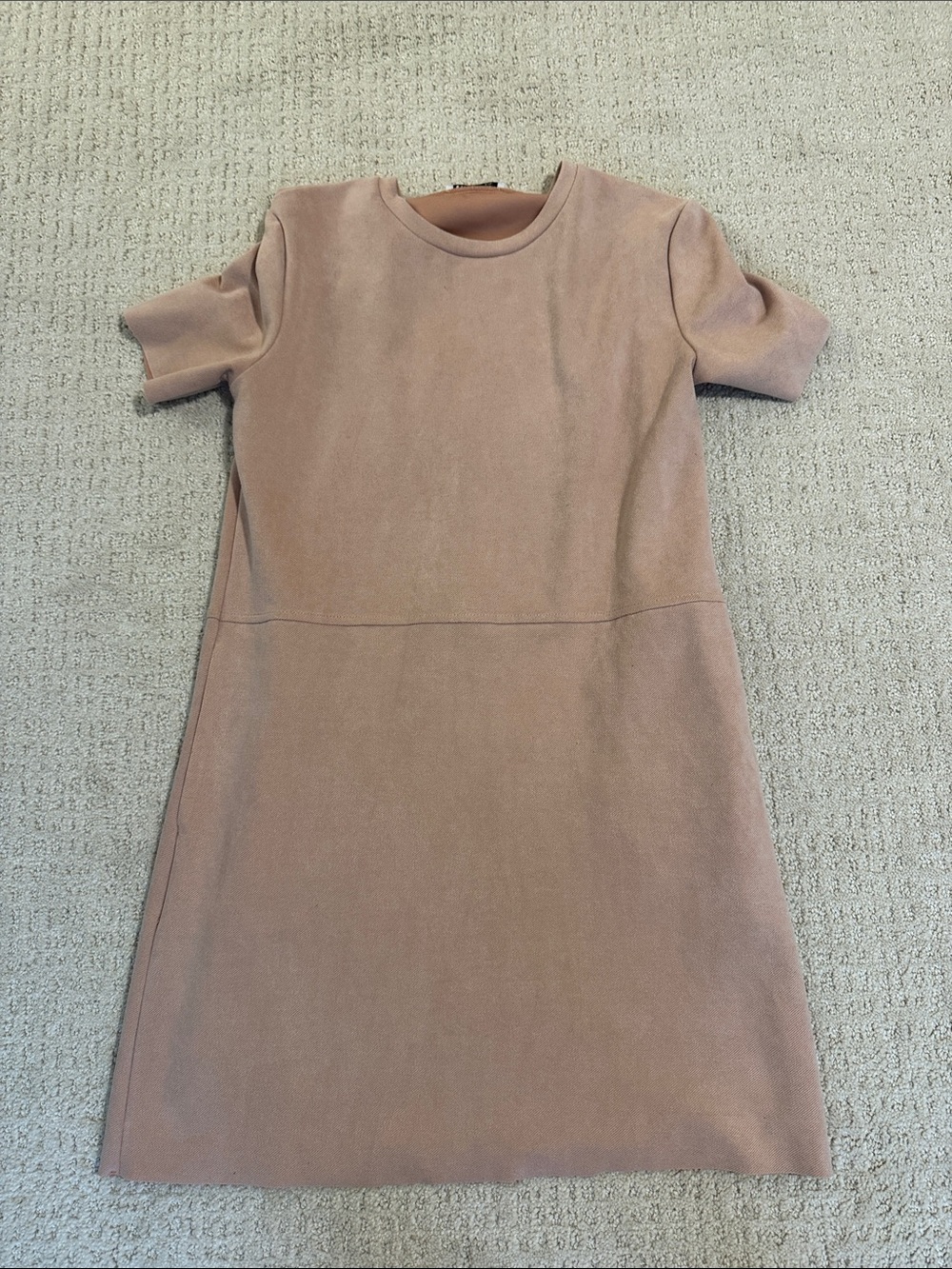 Zara Mini Dress in Dusty Rose